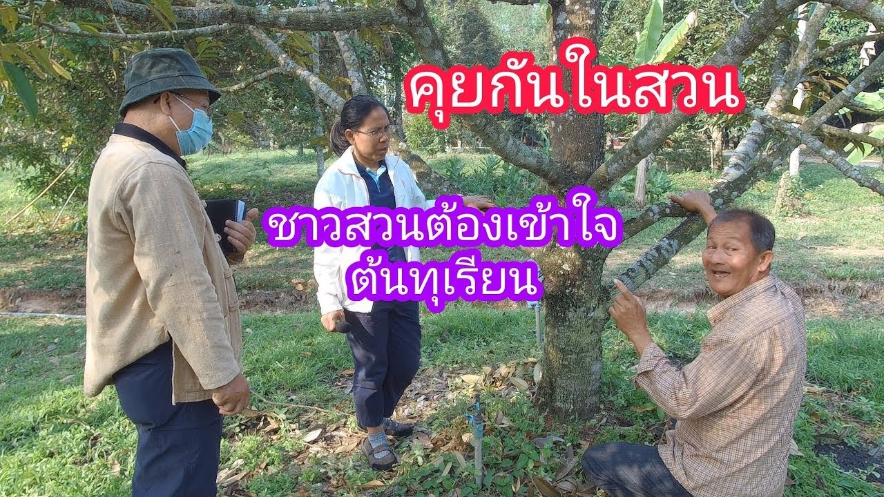 NR-EP9 คุยกันในสวน ลุงนิรันดร์ อ.นุกูล อ.ลำแพน แนวคิดการทำสวนทุเรียน เดินดูสุขภาพต้น การป้องกันโรครา
