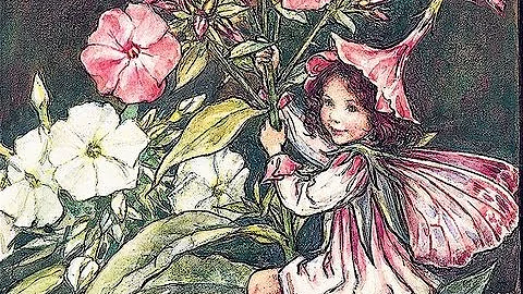 Cicely Mary Barker