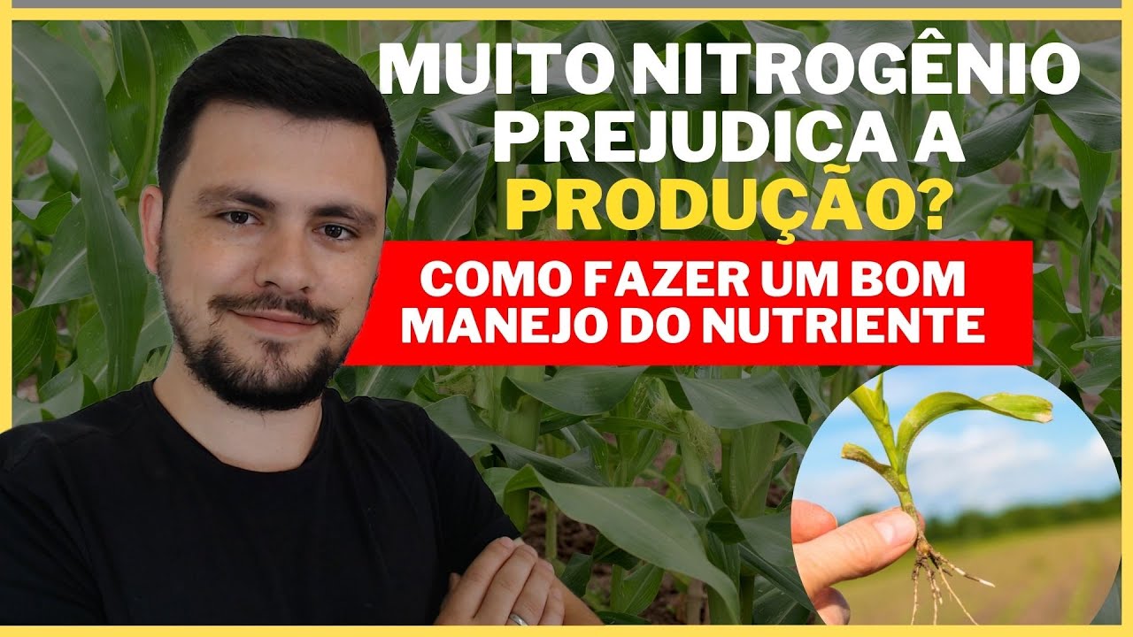 O que o excesso de NITROGÊNIO ocasiona nos cultivos?