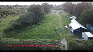 OpWall comes to Knepp