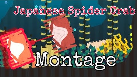 [Deeeep.io] JSC is INSANE in 1v1-JSC Montage