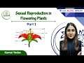 Sexual Reproduction in Flowering Plants | L1 | Unacademy NEET | Komal Yadav