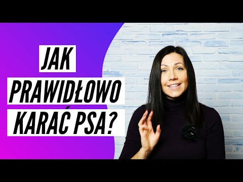 Wideo: Lista małych, łatwo wyszkolonych ras psów