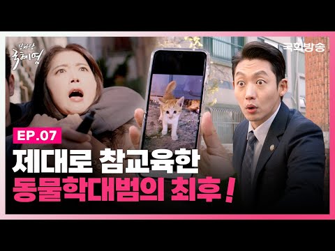 길고양이 밥에 독 타서 먹인 남자의 최후