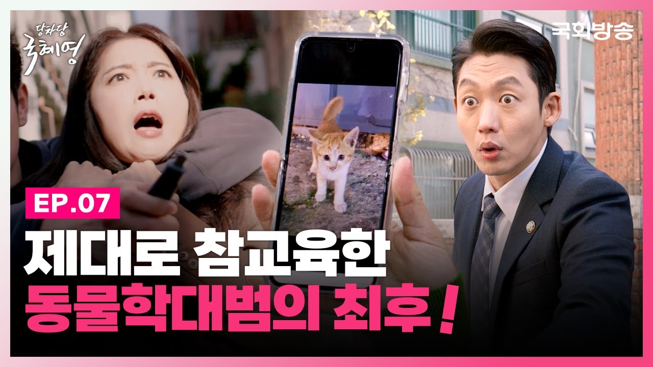 동물학대범 제대로 참교육한 오윤아X이태성!? | 당차당 국혜영 EP.7 | 국회방송