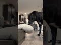 Everything Was Stable Until That One Move