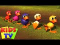 El Reino | Seis patinhos | Vídeos animados | Kids Tv em Português | Música para crianças | Educação
