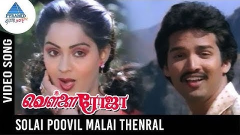 Vellai Roja Tamil Movie Songs | Solai Poovil Malai Thendral Video Song | Radha | Suresh | Ilayaraja
