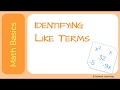 Understanding Like Terms in Algebra
