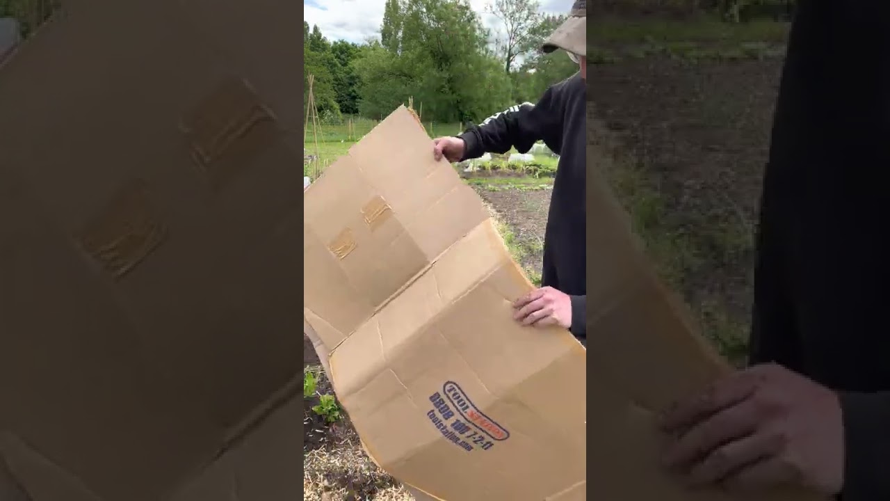 How to WoodChip Your Paths (No Dig Style)