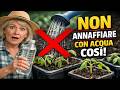 MAI PIÙ Piantine Deboli: Annaffio SOLO con Questo! Il Segreto per Correggere l'Acqua.