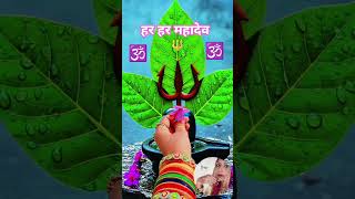 "Mohe Ped Banaiyo To Banaiyo Bel Patto Se" 🔱🌿 Har har mahadev 🕉️🔱#bhajan #viral #shorts #trending