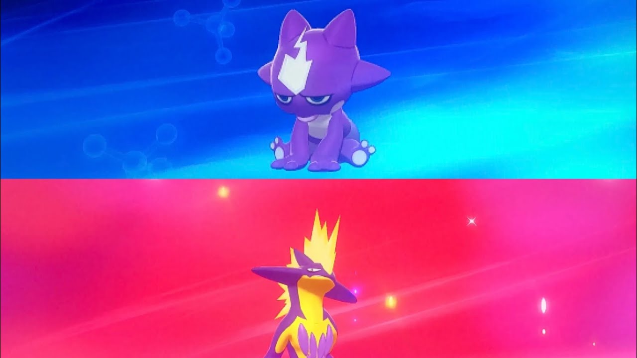 Pokémon Sword and Shield: How to evolve Toxel into Toxtricity and