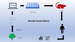 Graphical Abstract Part 7