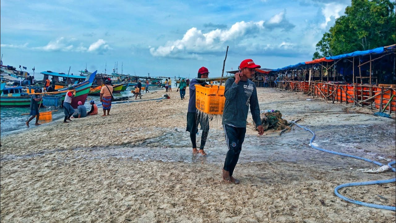 Pengolahan ubur2 di pantai tanjung tinggi