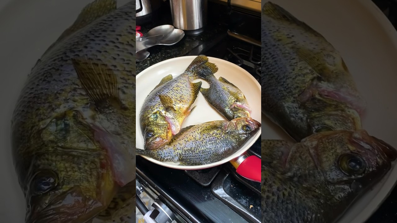 Chinese New Year Fish Fry!