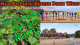 Batam Barelang Jalan-Jalan Sore Ke Pantai Setokok Berlimpah Pohon Waru