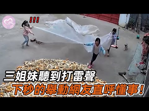監控下暖心一幕，三姐妹聽到打雷聲，立刻蓋玉米收衣服，動作熟練得讓人心疼！#暖心 #暖心故事 #正能量 #淚目 #生活 #溫暖 #社會新聞 #老人 #感動 #暖心時刻