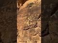 Mysterious Ancient Petroglyphs of Southern Utah