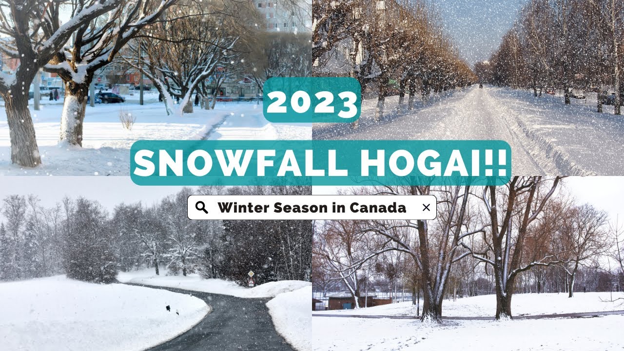 SNOWFALL in GTA Canada | Winter Season in Canada 2023 | How to survive ...