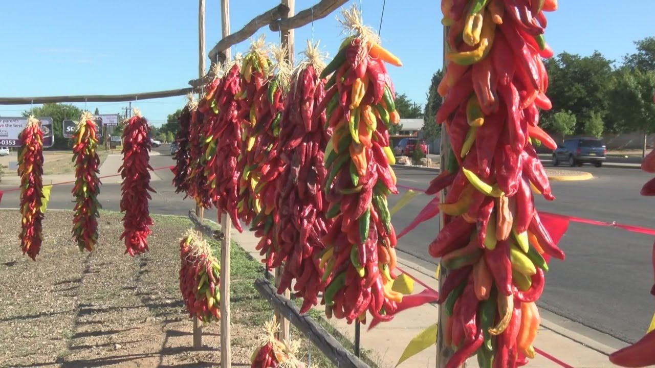 Chimayo Heirloom chile has deep roots YouTube