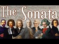 The sonata an introduction