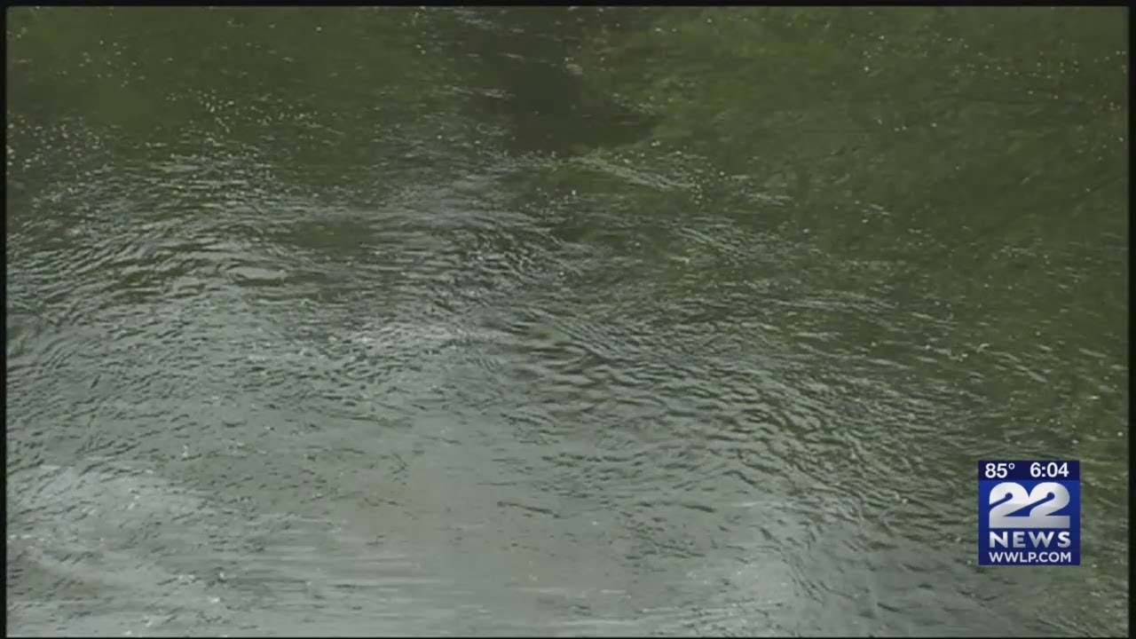 State Dept. recognizing heroism of students who drowned in Wilbraham YouTube