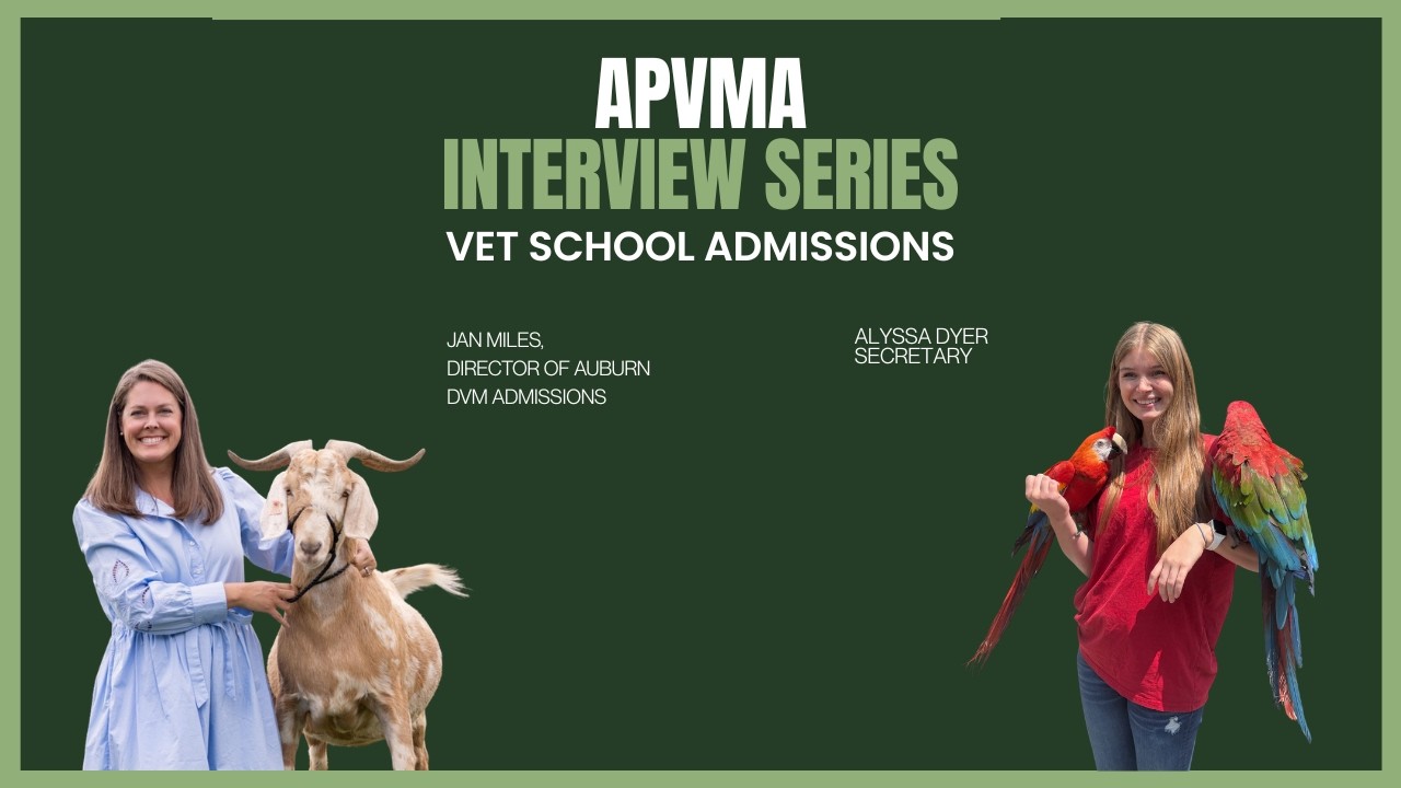 APVMA Interview Series: Vet School Admissions - YouTube