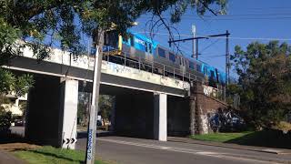 Comeng train passing over Nightingale Street Bridge, Balaclava
