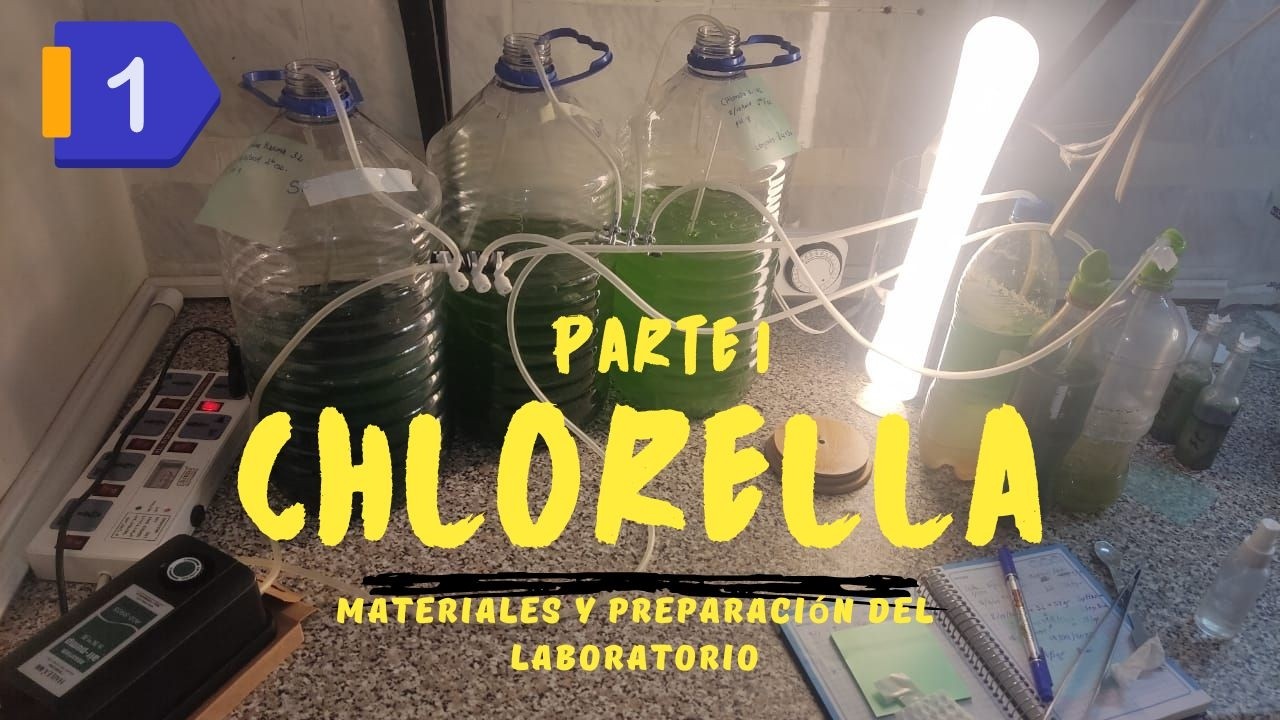 Materiales y preparación del laboratorio para el cultivo de Chlorella (I)