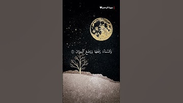 #سورة_الرحمن || الرحمن علم القران خلق الانسان علمه البيان الشمس والقمر بحسبان || #المصحف #اكسبلور