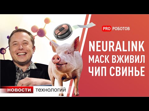 Neuralink/Нейролинк Илона Маска: новый чип и новости с презентации. Новейшие роботы и технологии