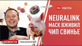 Neuralink/Нейролинк Илона Маска: новый чип и новости с презентации. Новейшие роботы и технологии