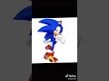 Sonic Amy shadow y Silver