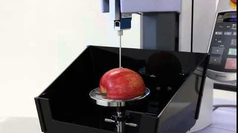 31 Cylinder Probe Penetration Test of Apple