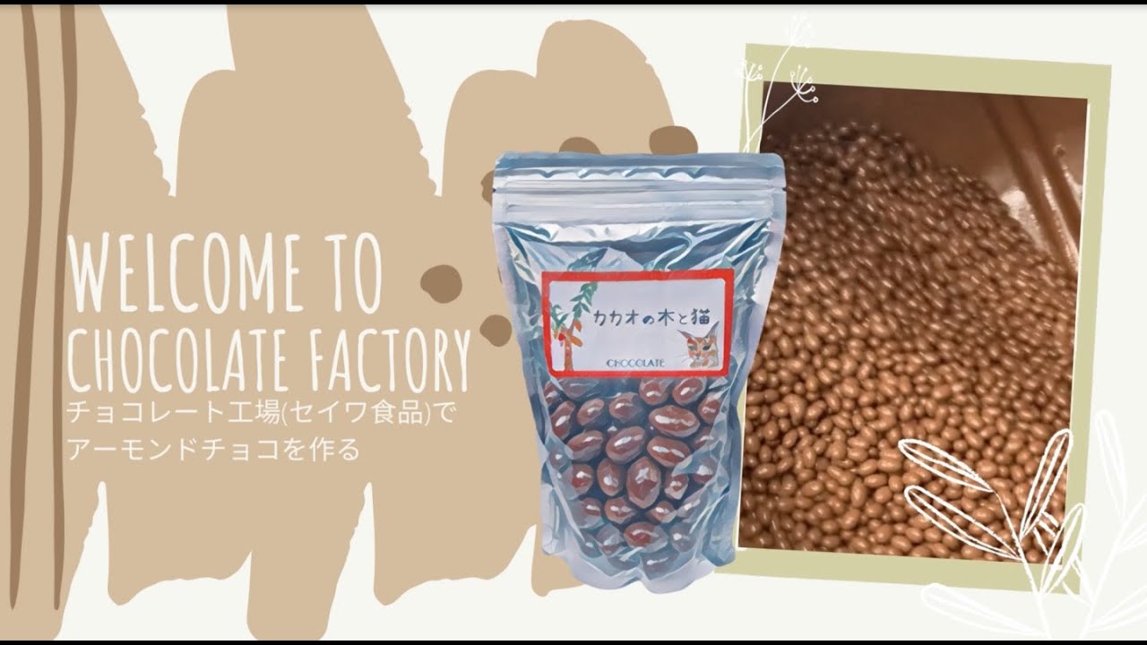 INSIDE CHOCOLATE FACTORY | HOW IT WORKS | CHOCOLATE COVERED ALMONDS ...