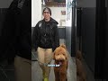 HAPPY THANKSGIVING FROM K9 MANIA DOG TRAINERS