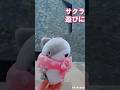 「おでかけ子ザメ おいSEA たのSEA サクラタウンさんぽ」本日よりスタート！