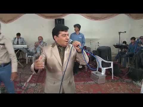 رضا مقامی سایه  