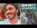 Visitando un ZOOLÓGICO de ANIMALES RESCATADOS 🐵 **VER ENTERO**