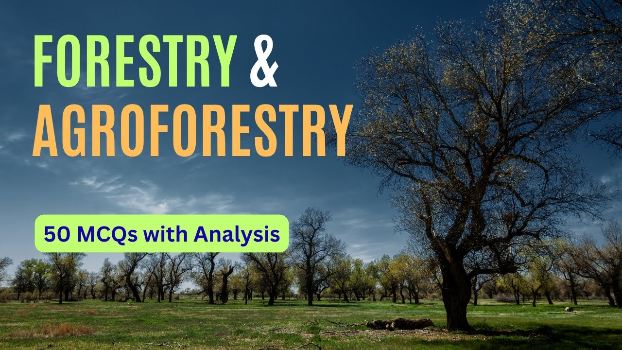 Анализ важных многовариантных вопросов (MCQ) для лесного хозяйства и агролесоводства | 50 MCQ и и...