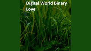 Digital World Binary Love