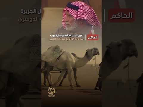 نفوق الفحل المشهور فحل الجزيرة الحاكم بعير ناصر ابن قريع ال بريك الدوسري