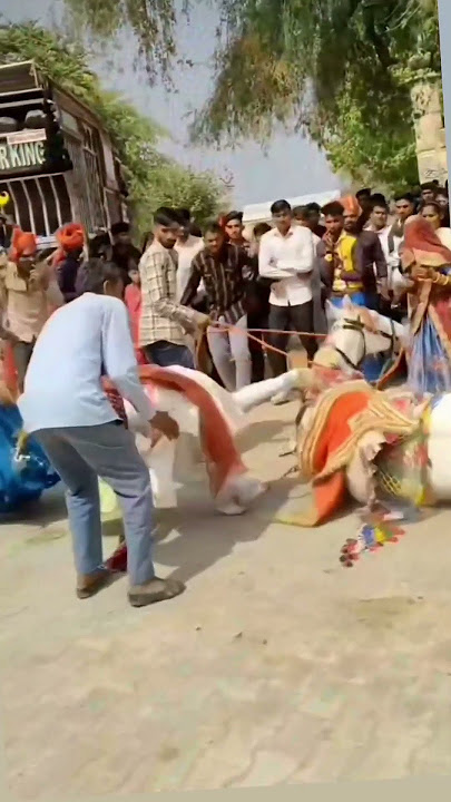 New Rajasthani Song|Dj Remix 2025l| || New Marwadi Song 2025 Remix Dj || New Marwadi Song Remix 2025