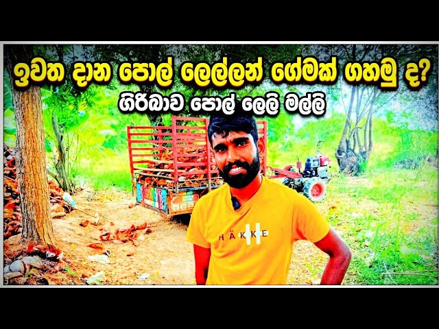 ඉවත දාන පොල් ලෙල්ලෙන් ගේමක් ගහන අපේ කාලෙ වීරයා.how about his story