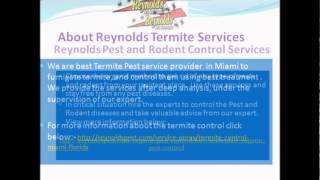 Reynolds Pest Management Inc. | Port St Lucie Florida