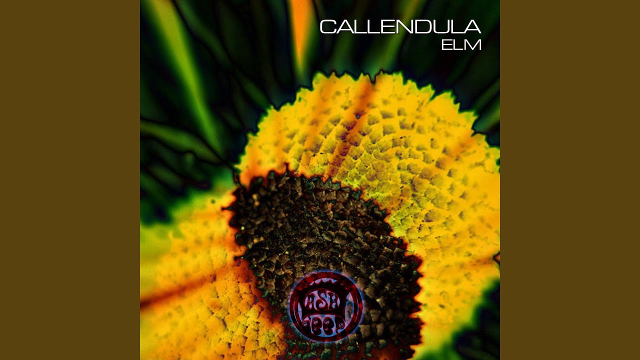 Guarda Elm su YouTube Guarda Elm su YouTube