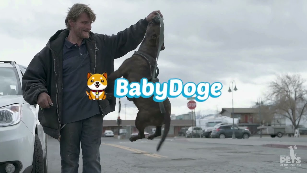 Baby Doge Coin Supports Feeding Pets of the Homeless in 2024