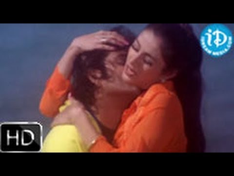 Om Namami Andamma Song - Aavida Maa Aavide Movie |Nagarjuna | Tabu | Heera Raagopal