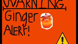 Warning ginger alert Resimi
